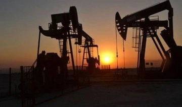 Suudi Arabistan ve Birleşik Arap Emirlikleri'nden petrol adımı