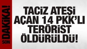 Taciz ateşi açan 14 PKK'lı terörist etkisiz!