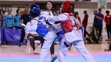 Taekwondo Anadolu Yıldızlar Ligi Yarı Finalleri, Mardin'de başladı