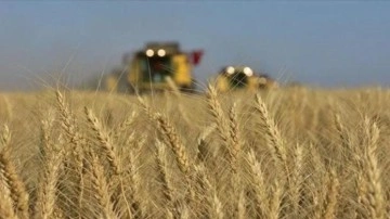 Tarım sektöründen rekor ihracat