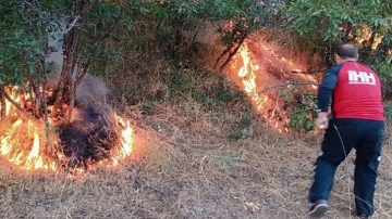Tarım ve Orman Bakanı Yumaklı'dan orman yangını açıklaması!