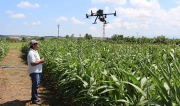 Tarımsal üretimde dijital teknoloji kullanımı artıyor