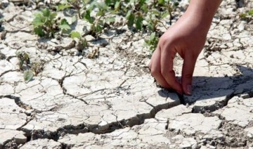 TARSİM'den çiftçilere 366 milyon TL kuraklık ödemesi