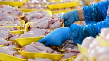 Tavuk eti üretimi 2023 Aralık'ta azaldı!