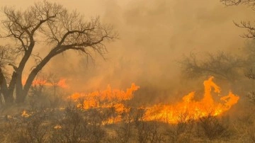 Texas’taki orman yangınlarında 1 kişi hayatını kaybetti