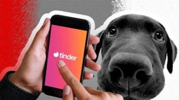 Tinder'a 'Köpek Sahiplendirme' Özelliği Geldi