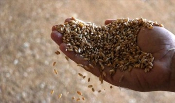 Tohum üreticilerinden kaçak tohum uyarısı