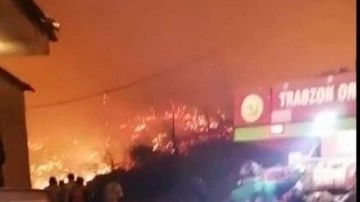 Trabzon Of'ta yangın alarmı