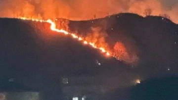 Trabzon'da orman yangını: Ekiplerin müdahalesi sürüyor