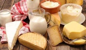 TÜİK açıkladı: İçme sütü ve peynir üretiminde düşüş