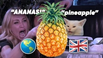 Tüm Dünyada ‘Ananas’, Peki İngilizcede Neden ‘Pineapple’?