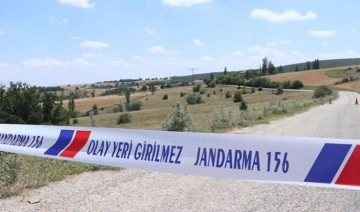 Tunceli'de 'kuduz' alarmı: Bir köy karantinaya alındı