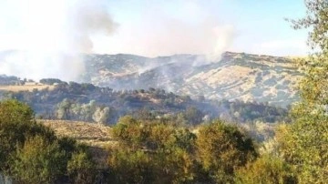Tunceli'de örtü yangını