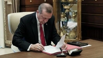 Türk Yatırım Fonu kuruldu! 5 devlet tarafından karşılanacak