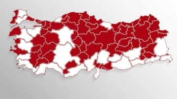 Türkiye'de "İl Olma" Kriterlerine Uyan İlçeler Açıklandı