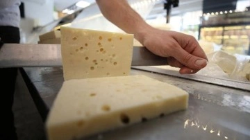 Türkiye'de tam 193 çeşit peynir üretiliyor!