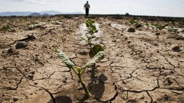 Türkiye'de tarımsal kuraklık ne durumda, önlemler neler? İSKİ Baraj doluluk oranları