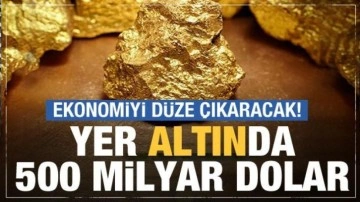 Türkiye'nin Yer 'altın'da 500 milyar dolar var