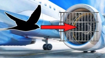 Uçak Motorlarının Önüne Neden Tel Örgü Koyulmuyor?