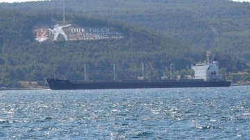 Ukrayna’dan yola çıkan ‘Navi-Star’ tahıl gemisi Çanakkale Boğazı’ndan geçti