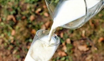 Ulusal Süt Konseyi toplandı: Çiğ süt fiyatı güncellenmedi