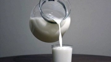 USK çiğ süt tavsiye fiyatını açıkladı! 1 Ekim'den itibaren geçerli olacak