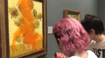 Van Gogh'un Ayçiçekleri Tablosuna "Domates Çorbalı" Saldırı