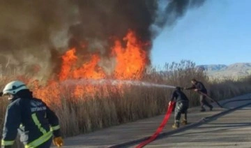 Van Gölü için acil önlem çağrısı: Sulak alan yangınları artıyor!