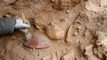 Van'da 3 bin 200 yıl önce yapılan beyin ameliyatı izlerine rastlandı