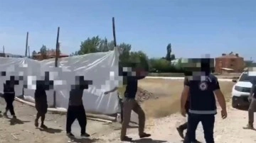 Van'da göçmen kaçakçılarına operasyon! 9 organizatör tutuklandı