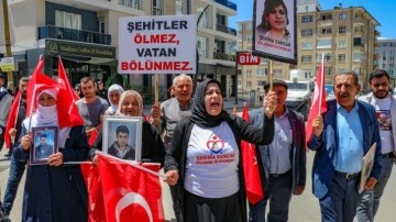 Vanlı aileler HDP il başkanlığı önünde eylemlerine devam etti