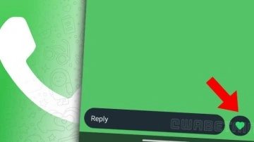 WhatsApp Durumlarına Hızlı Beğeni Özelliği Geliyor