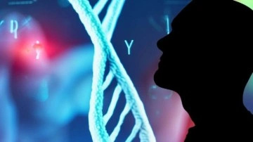 Y Kromozomunun Genetik Kodu, İlk Kez Baştan Sona Haritalandı - Webtekno