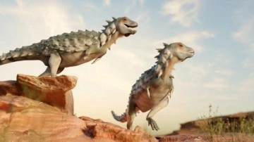 Yaklaşık 100 Milyon Yıl Önce Yaşamış Zırhlı Dinozor Bulundu