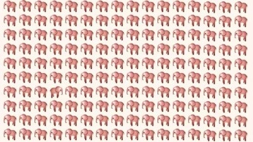 Yalnızca keskin gözlüler tarafından yapılabilen zeka testi! 7 saniyede farklı olan fili bul