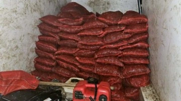 Yalova’da 2,3 ton kaçak midye ele geçirildi