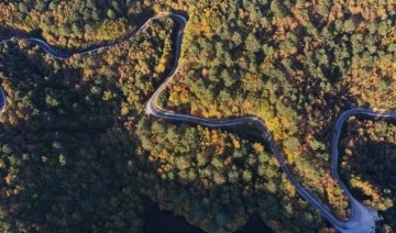 Yalova'da ormanlık alanlara giriş yasaklandı