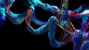Yapay Zeka Protein Modellerini Tekrar Keşfetti