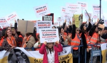 Yenikapı'da Büyük Hayvan Hakları Mitingi düzenlendi: Toplayamazsınız, katledemezsiniz