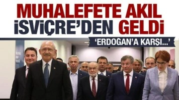 Yerel seçiö öncesi muhalefete ilk akıl İsviçre'den geldi! Erdoğan'a karşı...