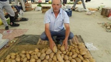 Yerli patates çıktı fiyatlar yine düşmedi