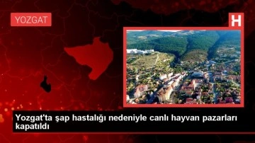 Yozgat'ta Şap Hastalığı Nedeniyle Canlı Hayvan Pazarları Kapatıldı