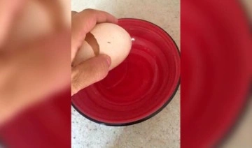 Yumurta içinden yumurta çıktı