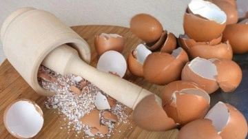 Yumurta kabuklarının faydaları: Yumurta kabukları ne işe yarar, nasıl kurutulur?