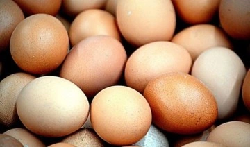 Yumurta yerken zehirlenmeyin böyleyse hemen çöpe atın...