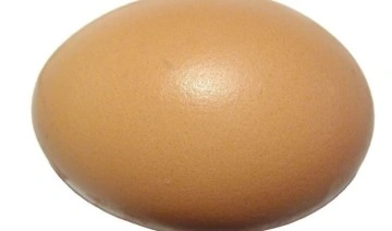 Yumurtanın kötü olup olmadığını anlamanın en kolay yolu! Asla bayat çıkmıyor