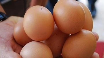 Yumurtanın Saça Faydaları ve Zararları Nelerdir?