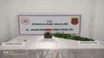 Zonguldak'ta jandarmadan uyuşturucu operasyonu!