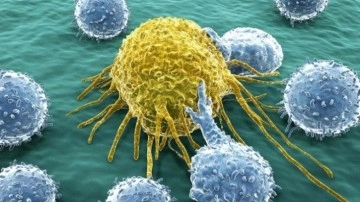 Zorlu Kanser Türlerini Tedavi Edebilen Molekül Geliştirildi